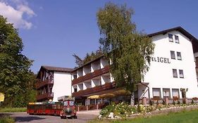 Hotel Igel